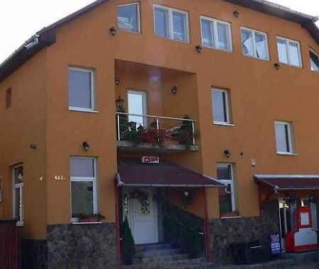 Engi Panzio Bed & Breakfast Ocna de Sus Eksteriør bilde