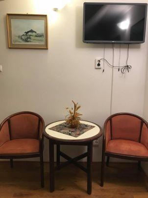 Engi Panzio Bed & Breakfast Ocna de Sus Eksteriør bilde