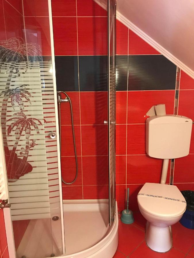Engi Panzio Bed & Breakfast Ocna de Sus Eksteriør bilde