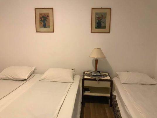 Engi Panzio Bed & Breakfast Ocna de Sus Eksteriør bilde