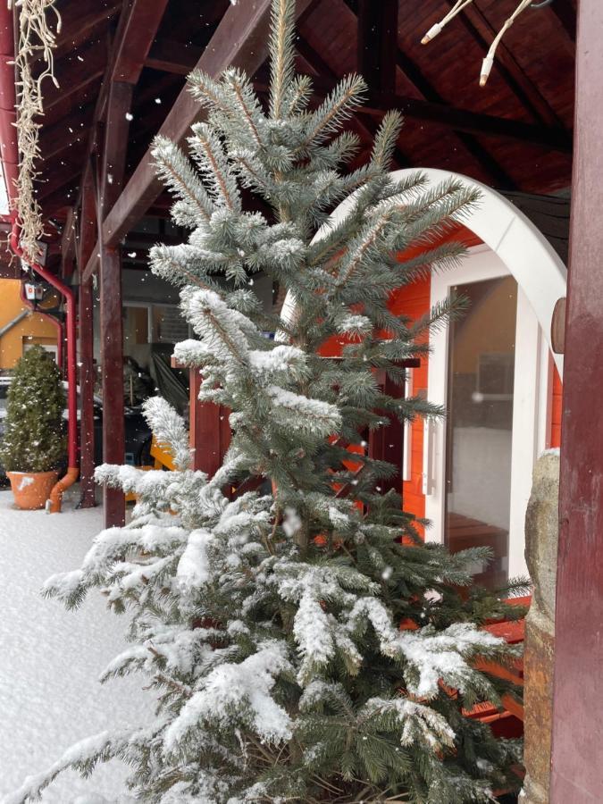 Engi Panzio Bed & Breakfast Ocna de Sus Eksteriør bilde